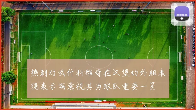 热刺对武什科维奇在汉堡的外租表现表示满意视其为球队重要一员